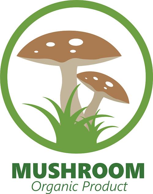 下载蘑菇乐园图标