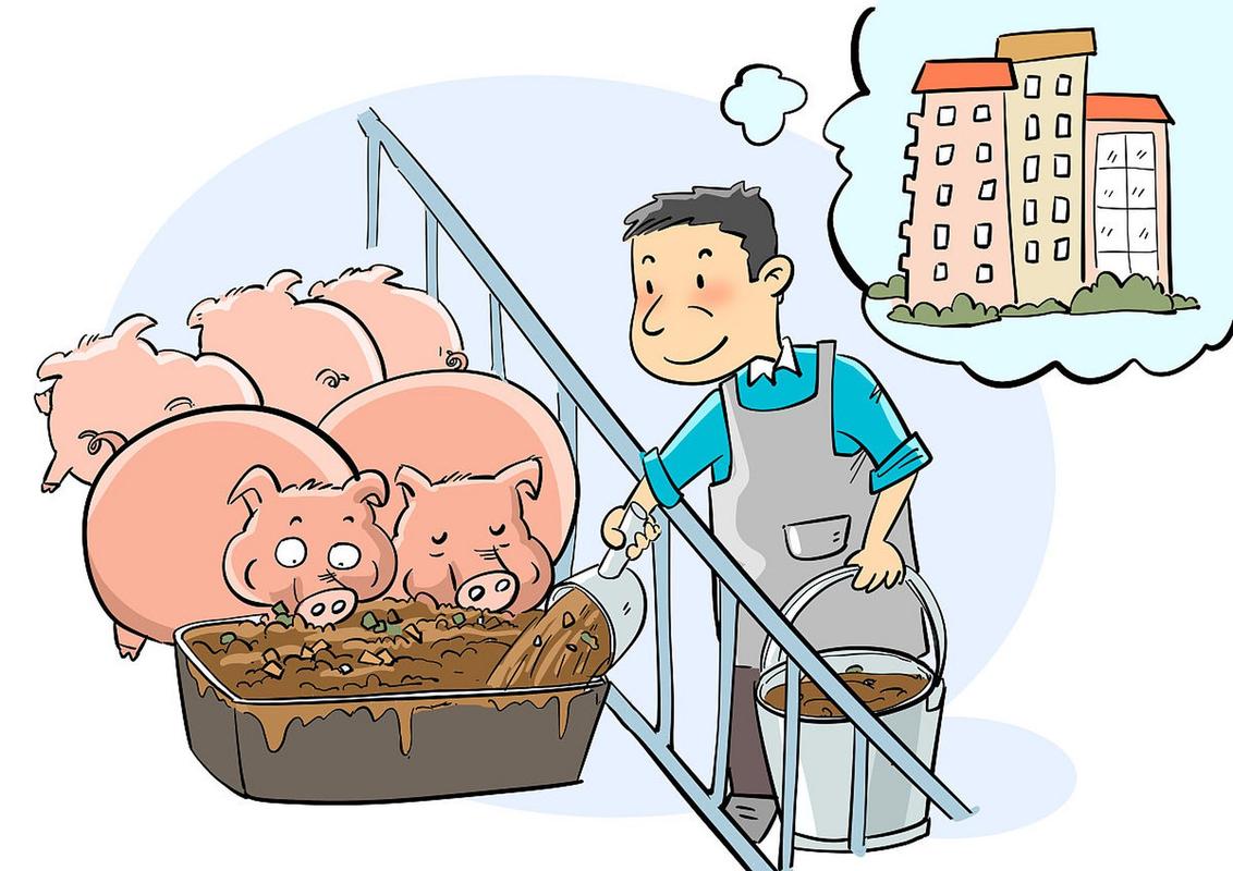 养猪图片大全搞笑卡通截图