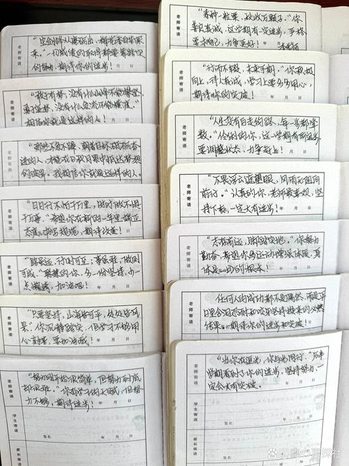学生评语简短通用无限次数版