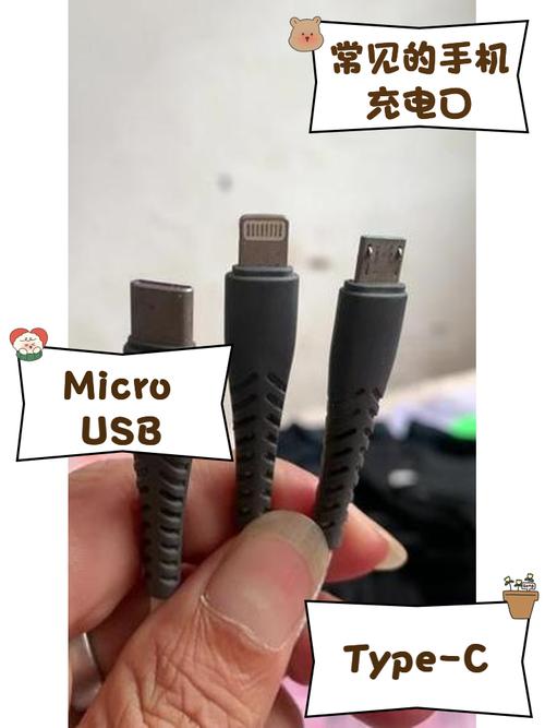 手机充电接口类型经典版无广告截图