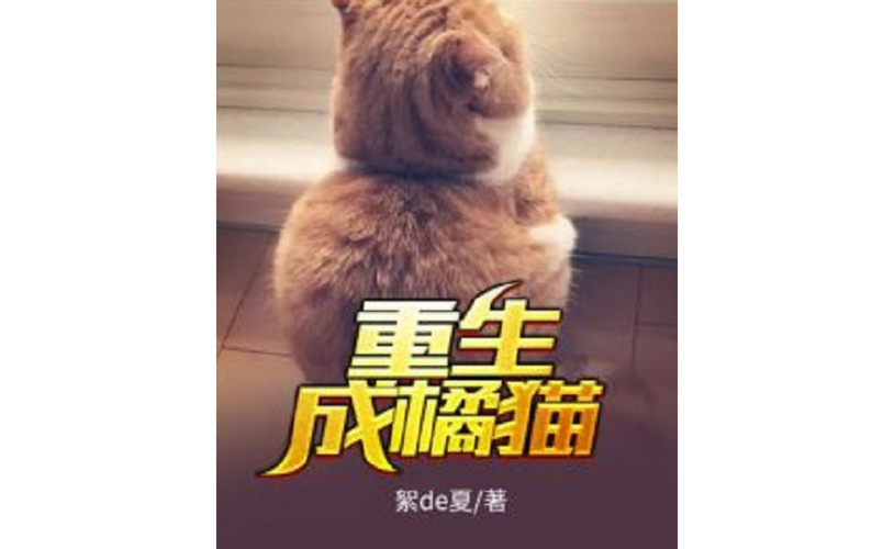 重生成橘猫获得系统app