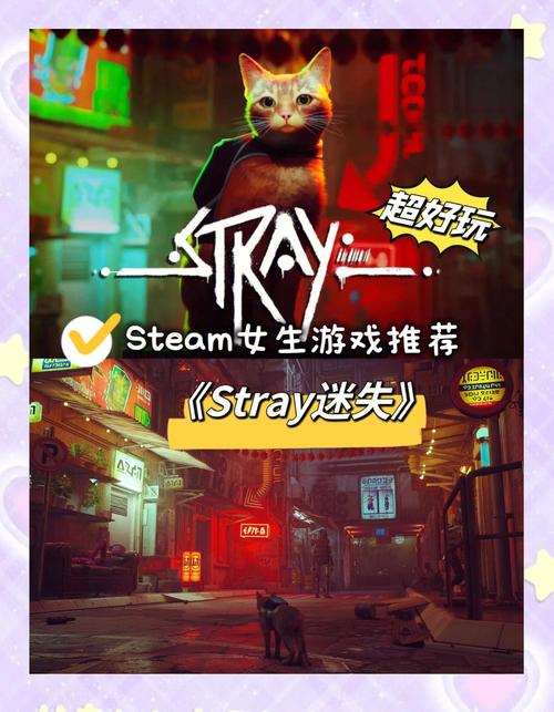 猫猫冒险
