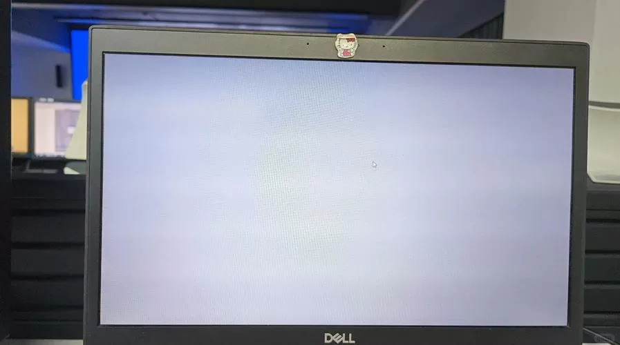 电脑黑白屏幕没有色彩