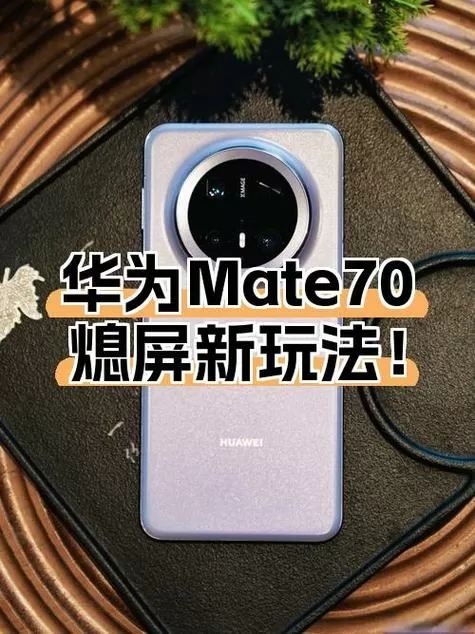 mate70没有5g图标截图