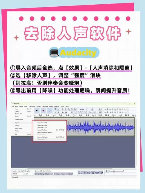 去人声