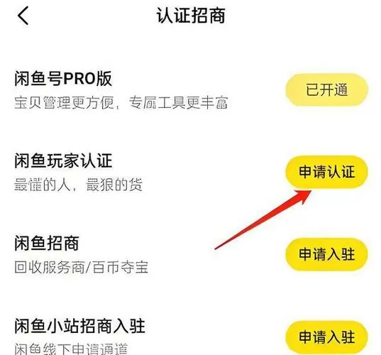 闲鱼的实人认证在哪里