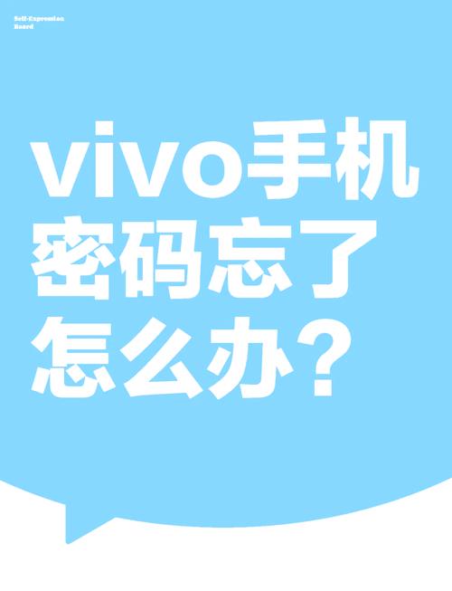 vivo健康使用设备密码忘记怎么办截图
