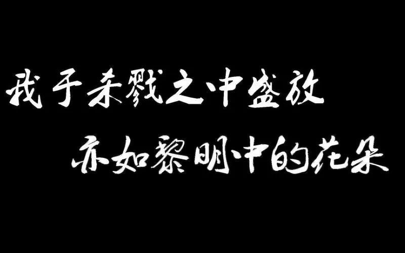 于杀戮之中绽放亦如黎明中的花朵
