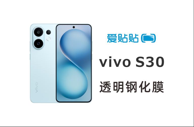 vivos30出厂自带膜吗