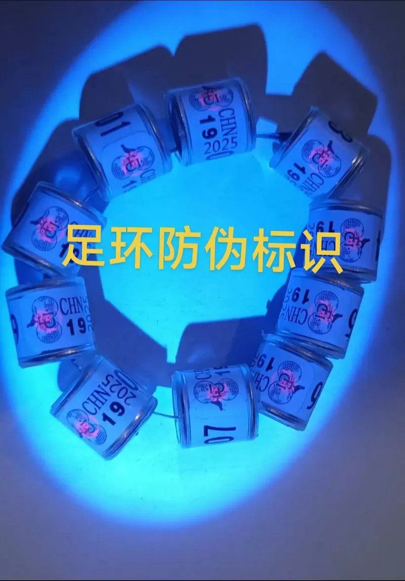 赛鸽真假环识别截图