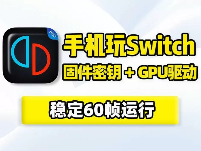固件版本和软件版本的区别