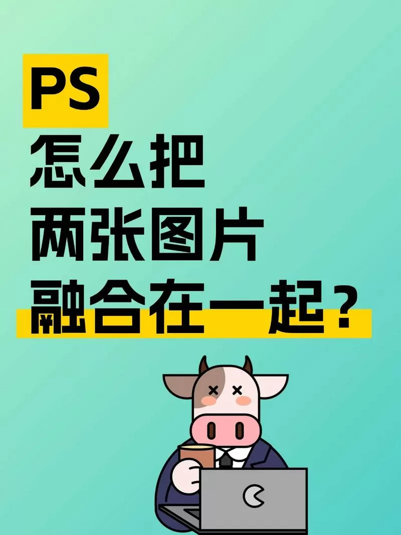 用什么软件能把两张照片合在一起