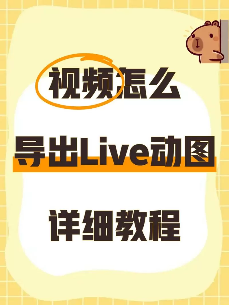 怎么把抖音视频导出来