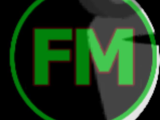 火柴人中文FM修改器最新版本