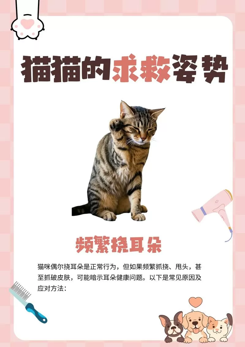 猫挠人怎么办?