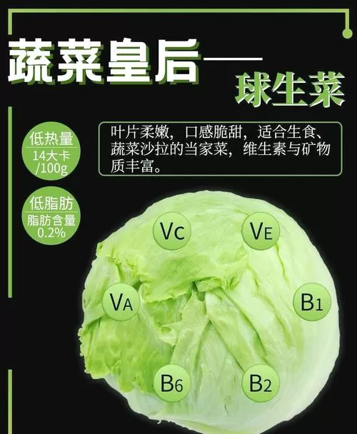 生菜的营养价值及功效与作用缩略图