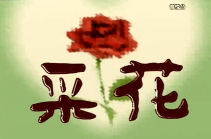 采花视频