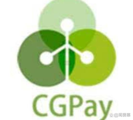 Cgpay钱包截图