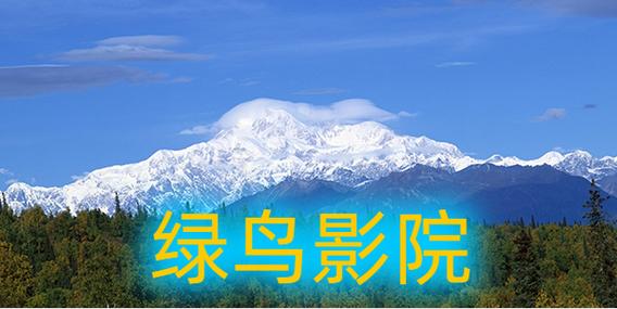 绿鸟影院截图