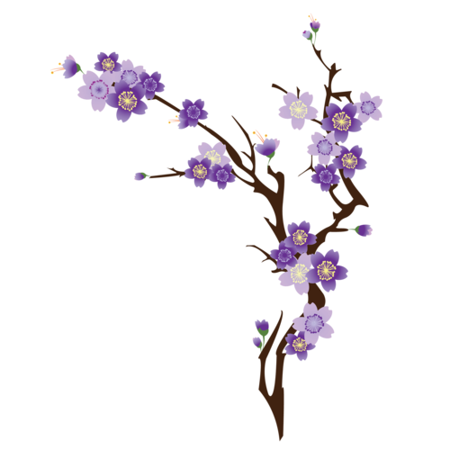 花枝视频截图