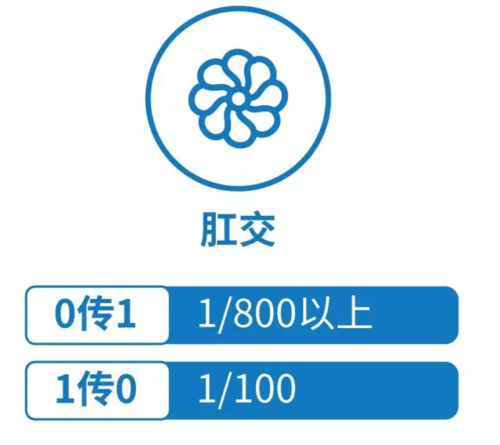 肛交视频
