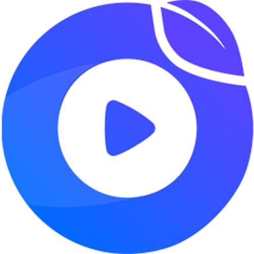 点盾云播放器