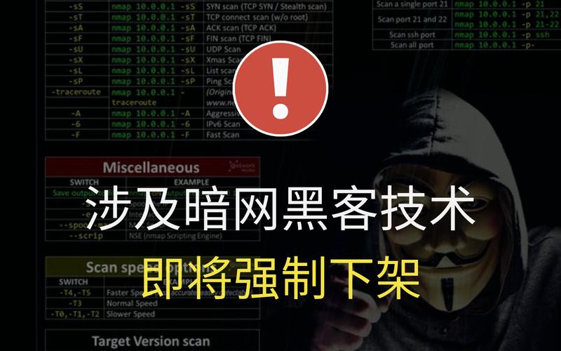暗网禁区截图