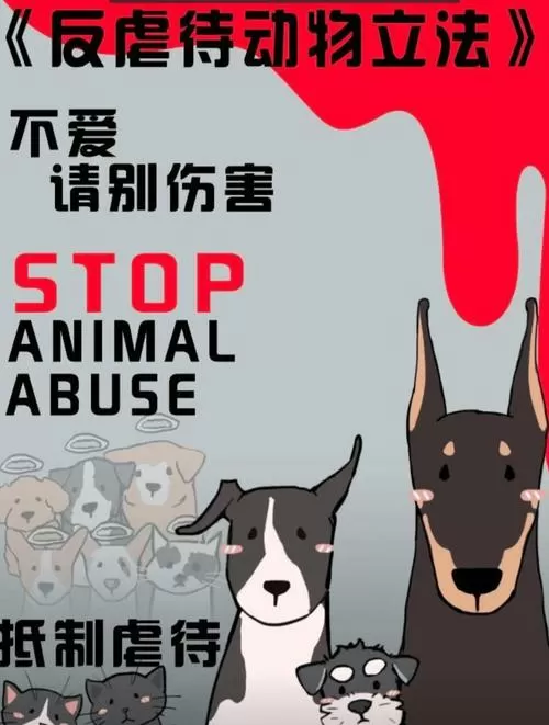 女子投喂流浪猫遭男子殴打