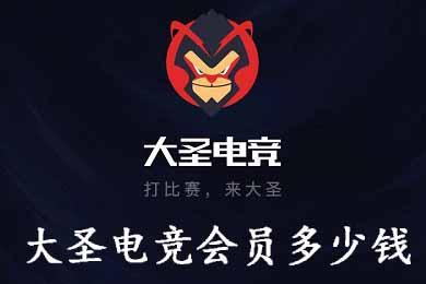 大圣电竞赏金赛