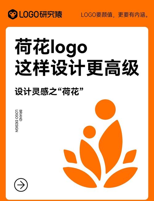 荷花转赚钱