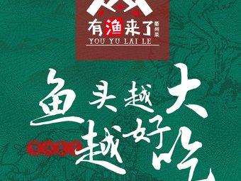 有鱼来了