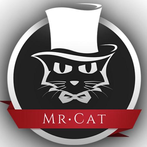 猫先生电竞