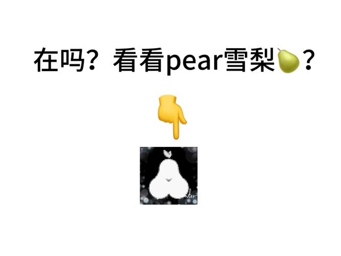 Pear雪梨(邀请码)图标