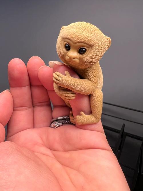 拇指猴缩略图