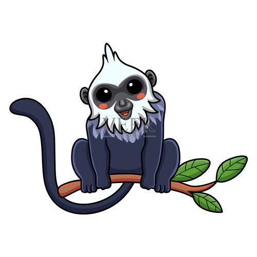 叶猴资讯截图