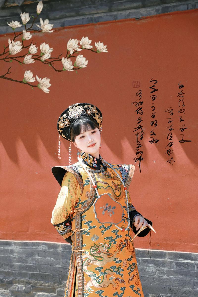 入宫当皇后