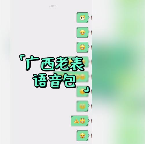 广西语音包
