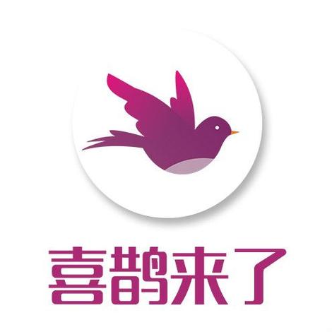 喜鹊网app官网版