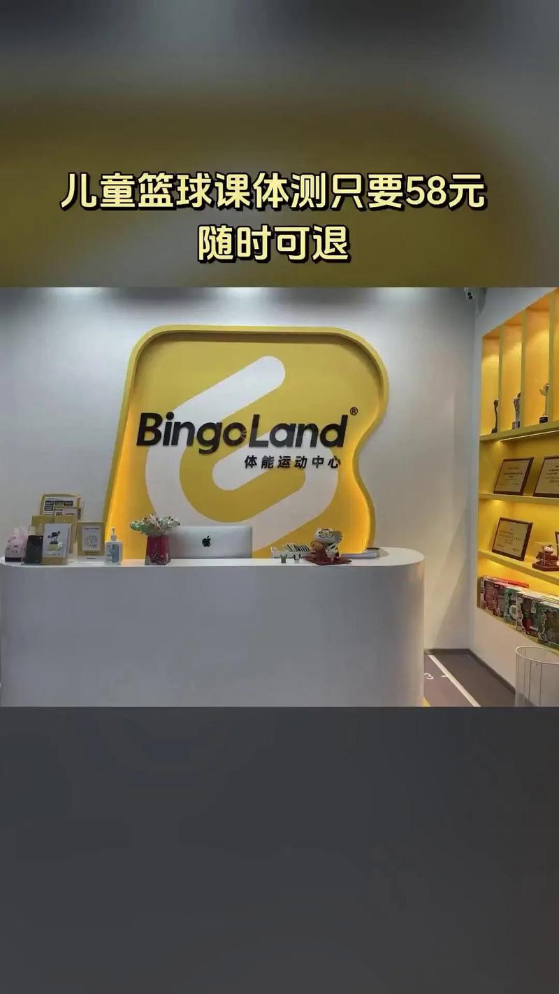 宾果乐园赚钱版