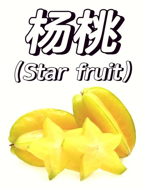 杨桃短视频福利版