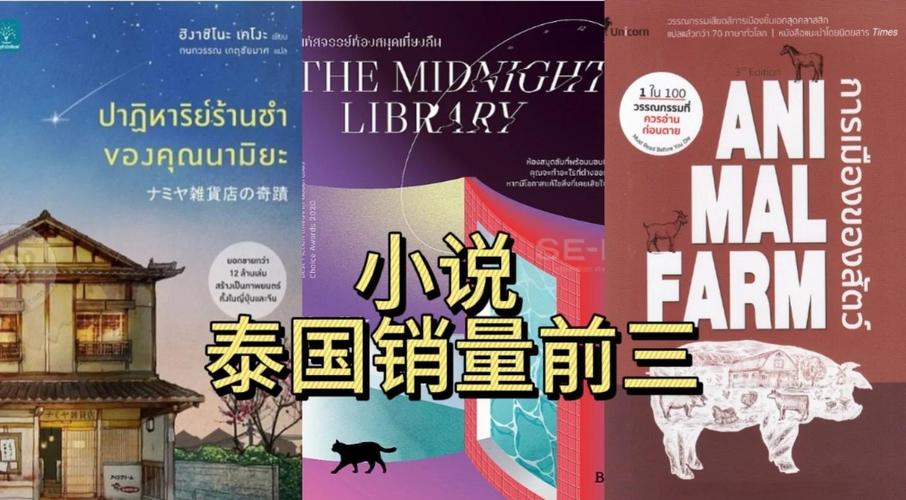 泰国小说免费阅读截图