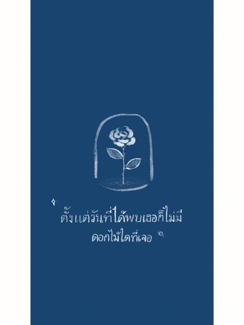 泰国小说手机版