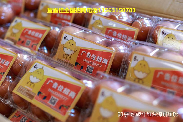 蛋蛋佳赚钱图标