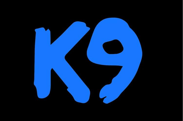 K9视频最新版图标