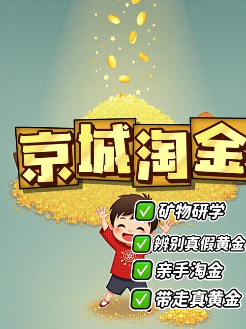 淘金短视频官网版