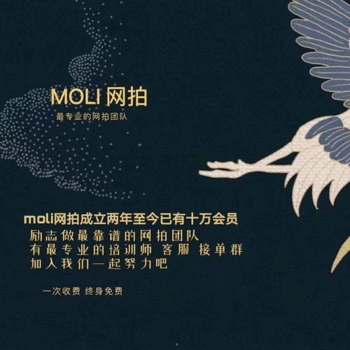 MOLI网拍平台兼职