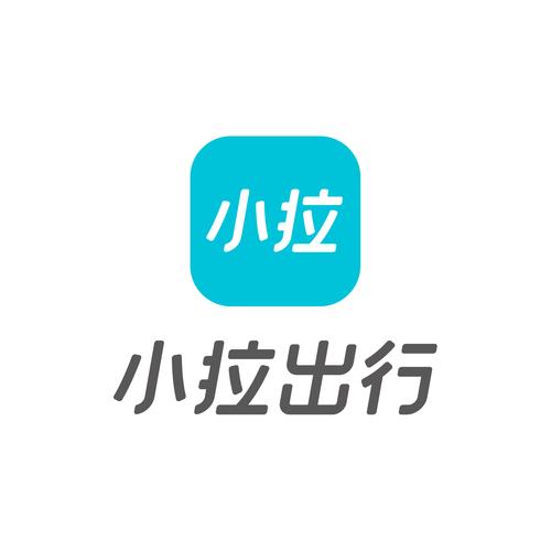 小拉出行司机端