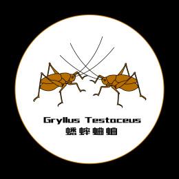 养蟋蟀赚钱