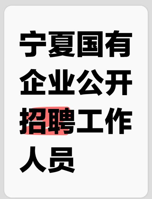 宁夏招聘截图