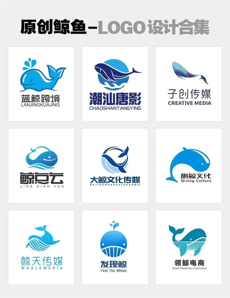 巨鲸来了截图
